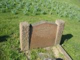 image of grave number 131706